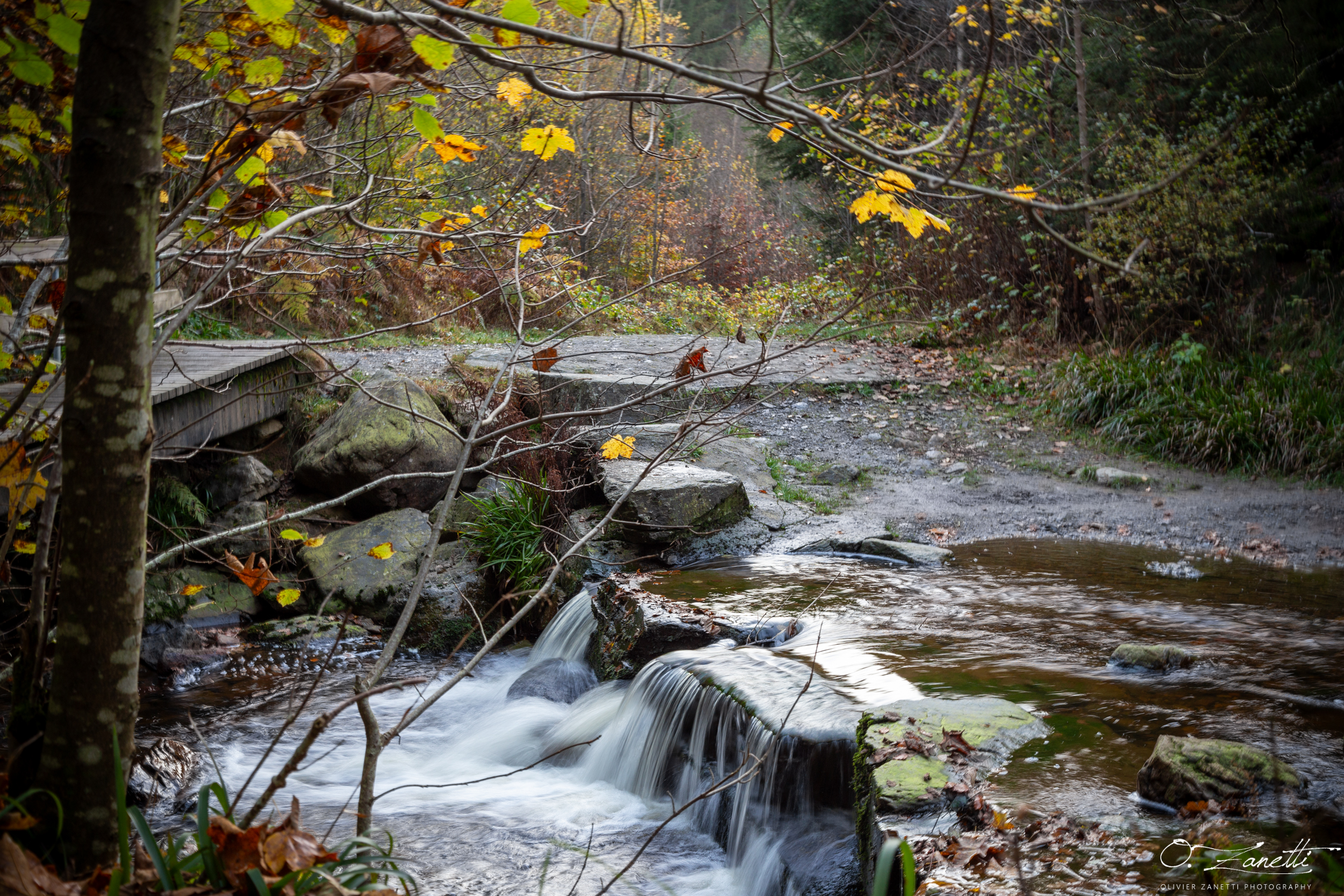 Un peu de sérénité au bord de la rivière