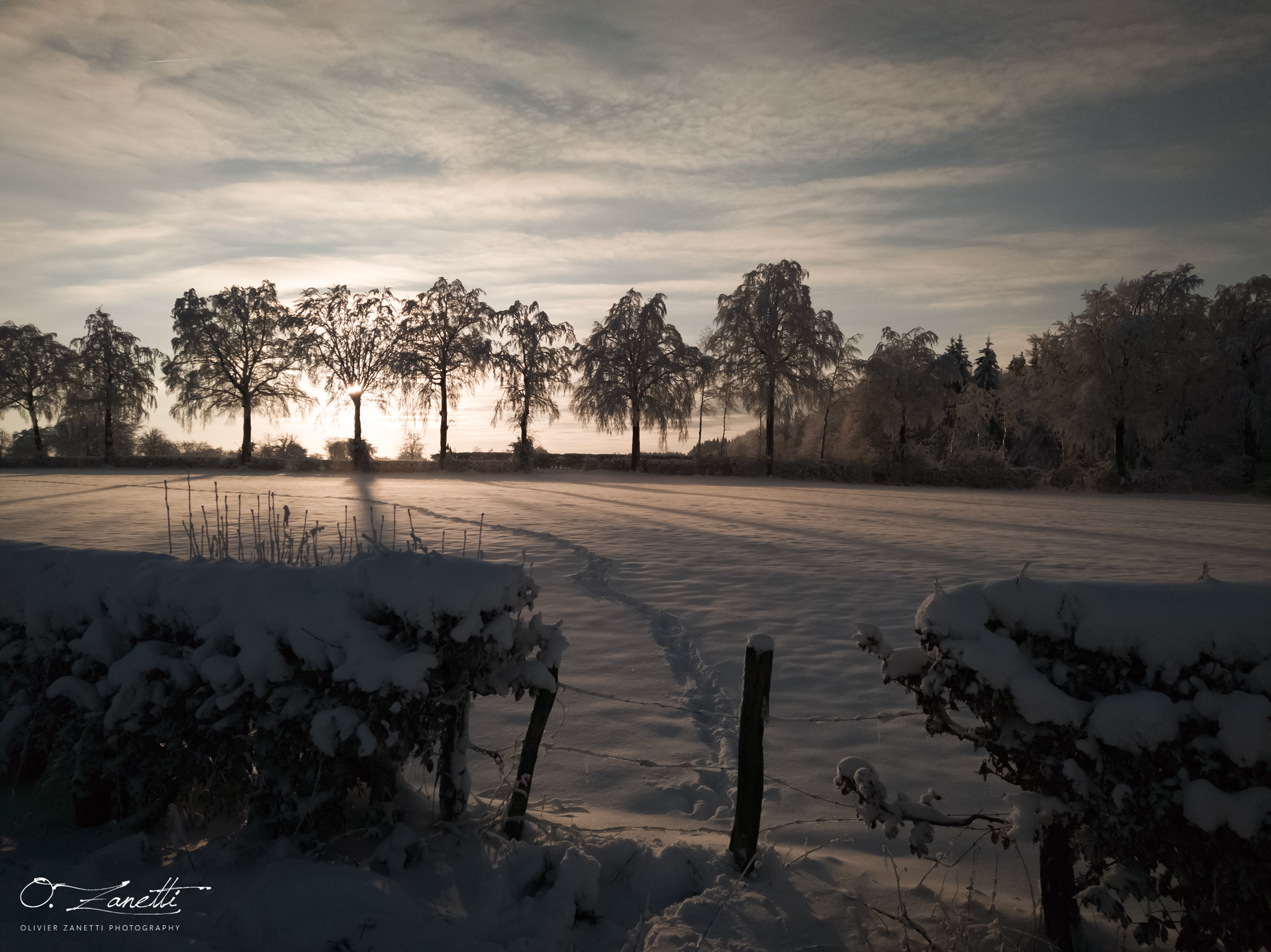 Une balade dans la neige au couché de soleil
