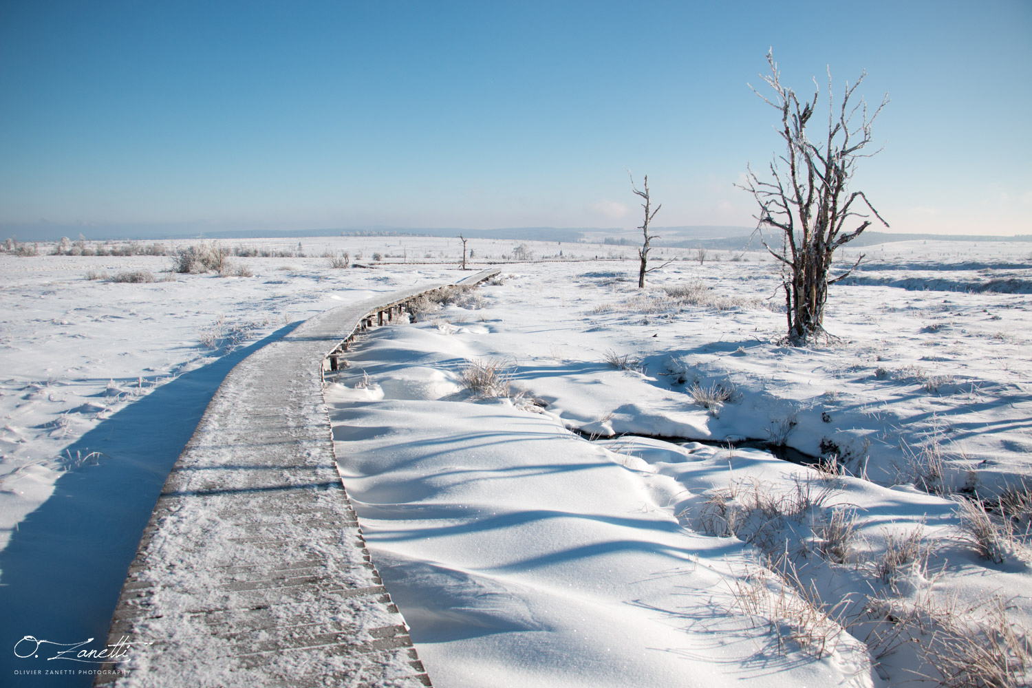 La tranquilité d'un paysage enneigé