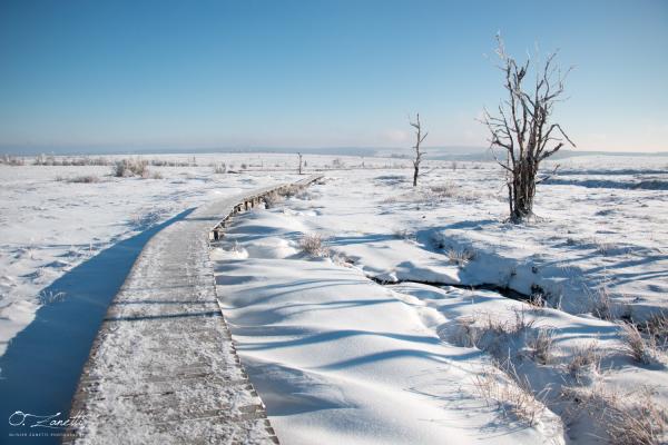 La tranquilité d'un paysage enneigé