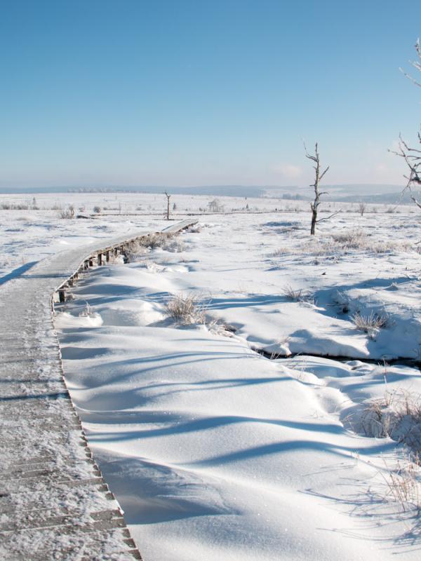 La tranquilité d'un paysage enneigé
