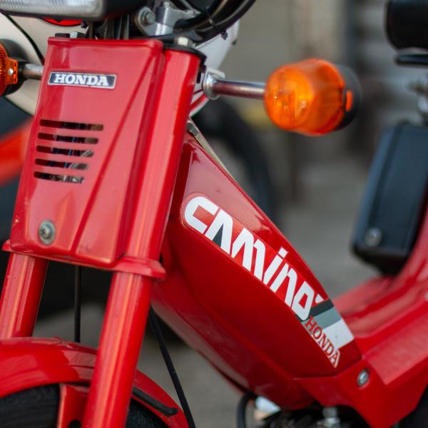 Pour les quinquagenaires