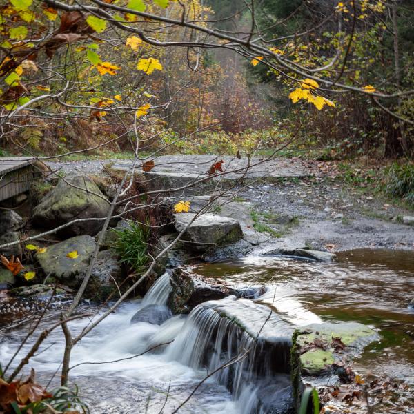 Un peu de sérénité au bord de la rivière