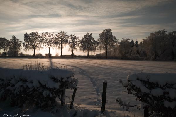 Une balade dans la neige au couché de soleil