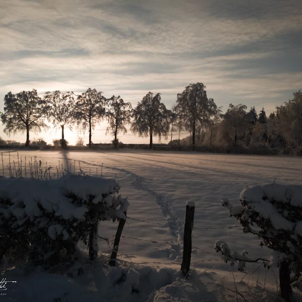 Une balade dans la neige au couché de soleil